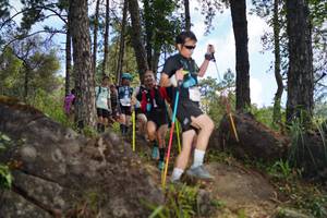 BIB: 
                            <button type="button" onclick="openModal(18964853)" class="btn btn-primary btn-sm float-right btn-popup" data-toggle="modal" data-target=".modal-high-quality">
                        <i class="fas fa-shopping-cart"></i> Add to Cart
                    </button>
                                            <button type="button" onclick="isThisMe(18964853, true)" class="btn btn-success btn-sm float-right btn-popup btn-isme hidden" data-toggle="tooltip" data-placement="bottom" title="นี่คือรูปของคุณใช่ไหม คลิกที่นี่เพื่อเอาเข้าอัลบั้ม">
                        <i class="fas fa-plus"></i> Add to album
                    </button>
                    <button type="button" onclick="isThisMe(18964853, false)" class="btn btn-warning btn-sm float-right btn-popup btn-isnotme hidden">
                        <i class="fas fa-ban"></i> Remove from album
                    </button>